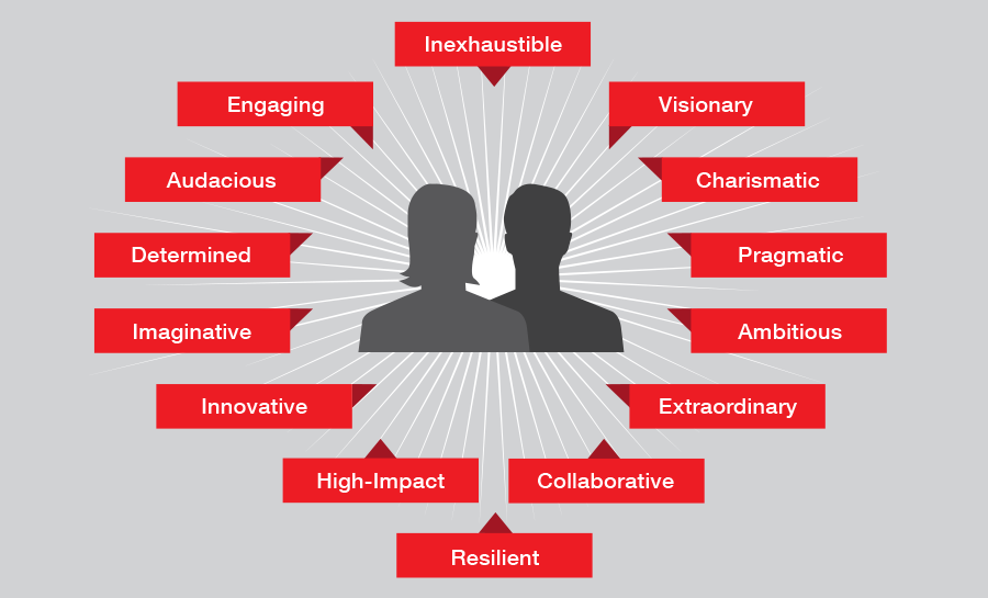 What makes a good TED Prize winner?