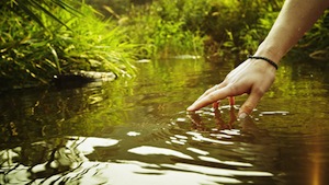 TRH: Nature