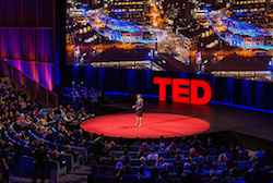 Apply to be a TED Fellow, TED Fellows Program, Participate